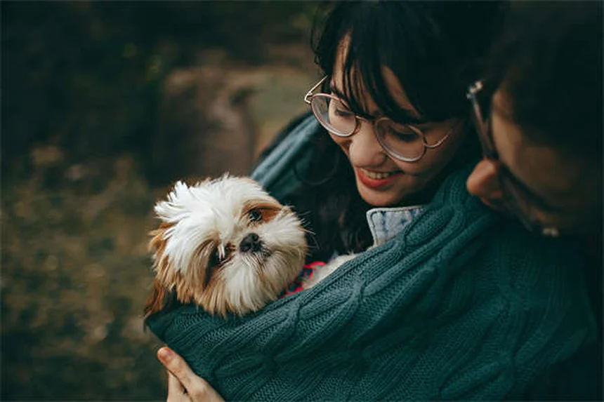 5 pericoli nascosti nel curare il tuo animale domestico a casa
