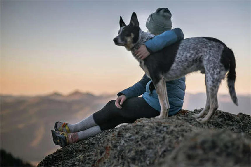 Pepto-Bismol per cani: Dosaggio sicuro e alternative naturali